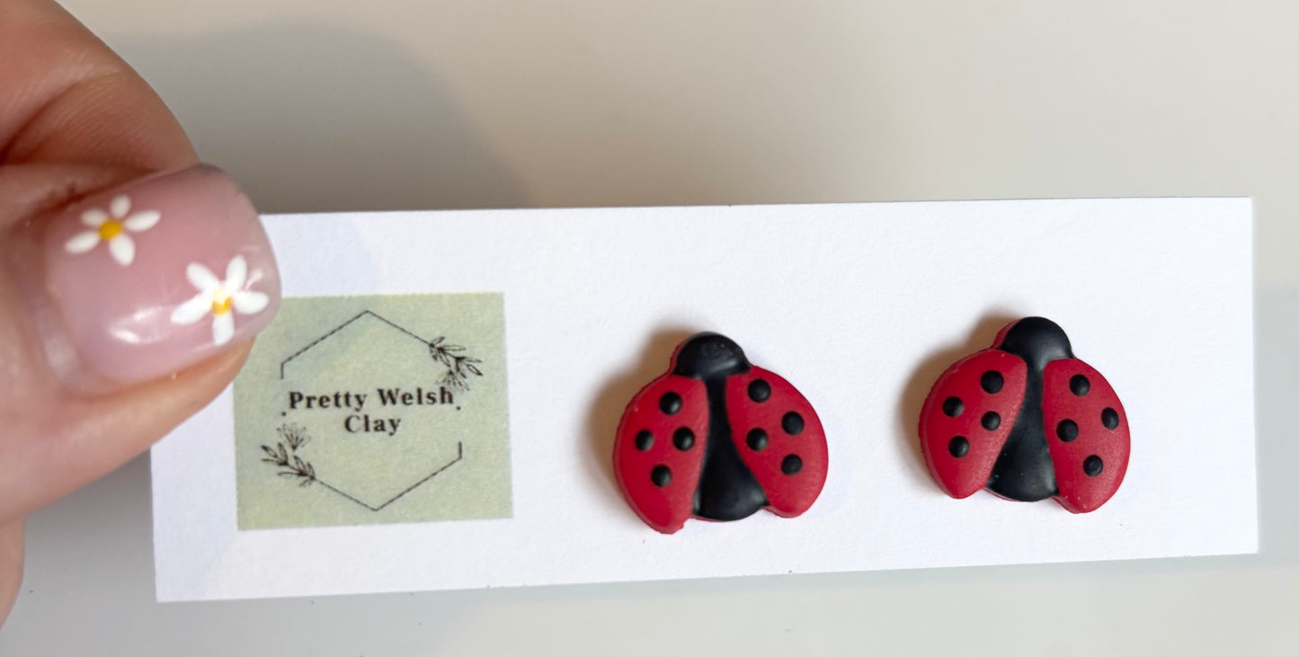 Lady bugs