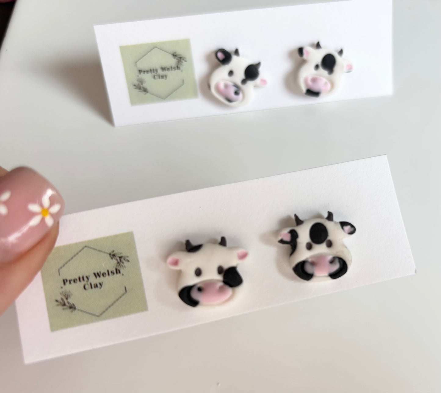 Cow studs