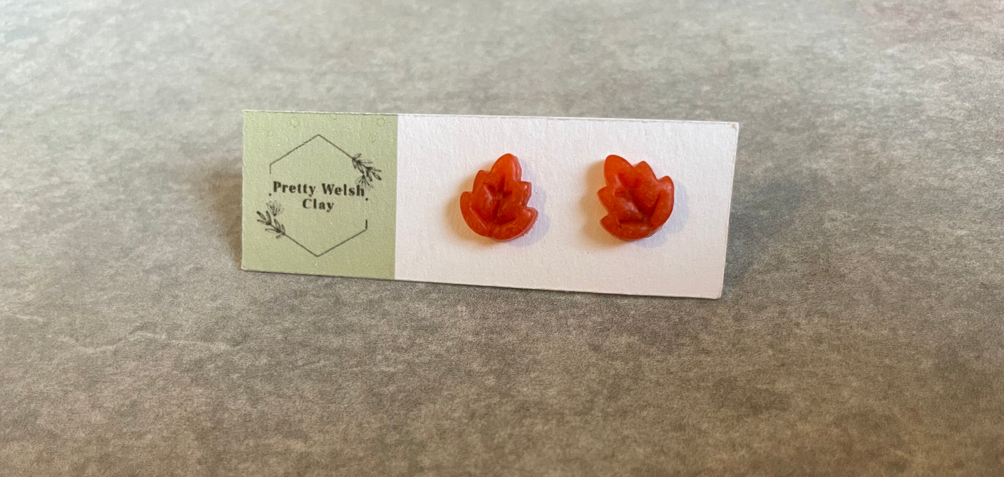 Leaf studs various colours