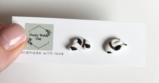 Cowboy hat studs