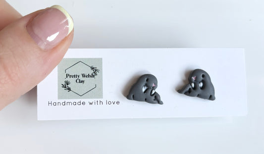 Walrus studs