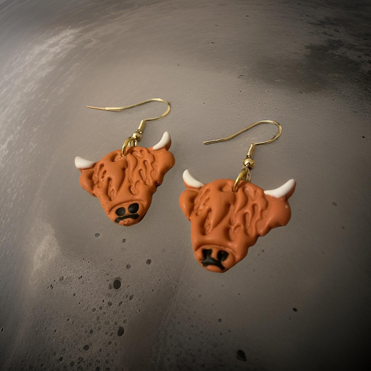 Highland cows